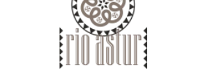 logo_rioastur